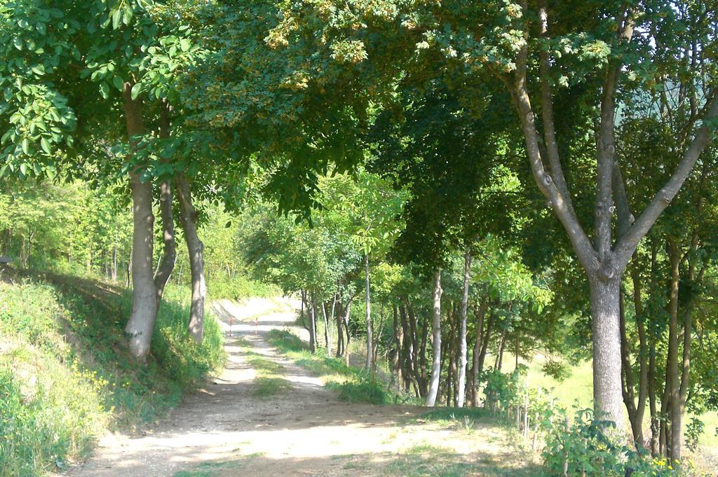 Brisighella Green Wellness Bagian luar foto